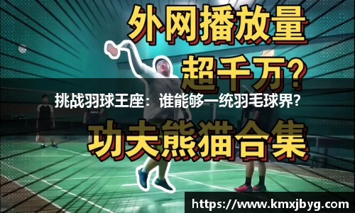 挑战羽球王座：谁能够一统羽毛球界？